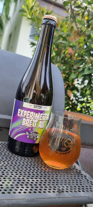 Experimental Brett Ale