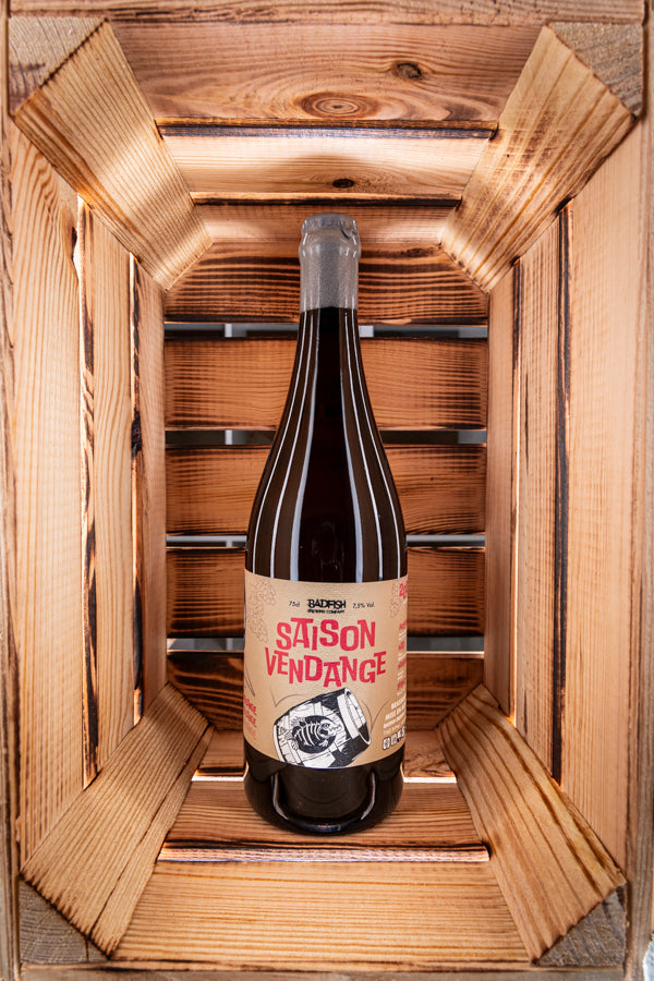 Saison Vendange 2022