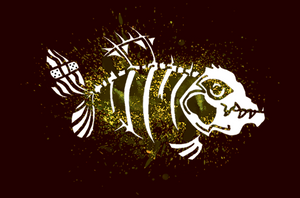 Membership Barracuda